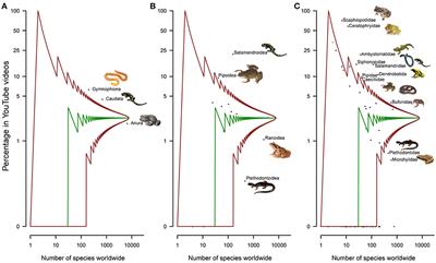 Why Have a Pet Amphibian? Insights From YouTube